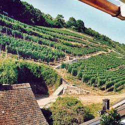 Ausblick von der Terrasse